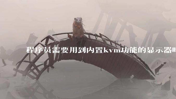 程序员需要用到内置kvm功能的显示器吗？或者是外置的kvm切换器吗？