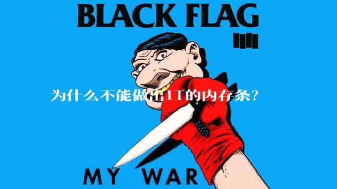 为什么不能做出1T的内存条？