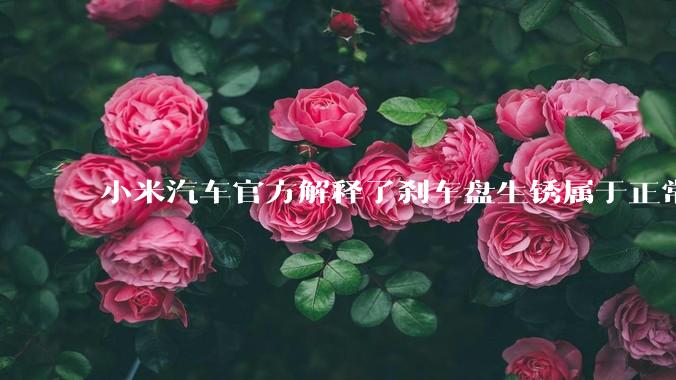 小米汽车官方解释了刹车盘生锈属于正常现象，并提供了两种除锈功能，这些措施是否足够有效？