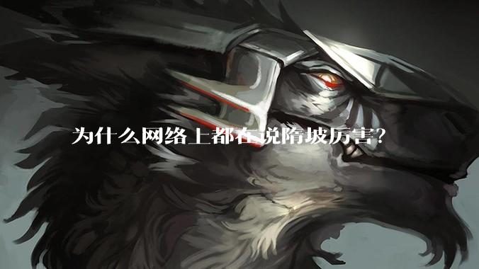 为什么网络上都在说隋坡厉害？